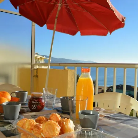 Appartement Le Lavandou, 1 Pièce, 4 Personnes - Fr-1-251-251