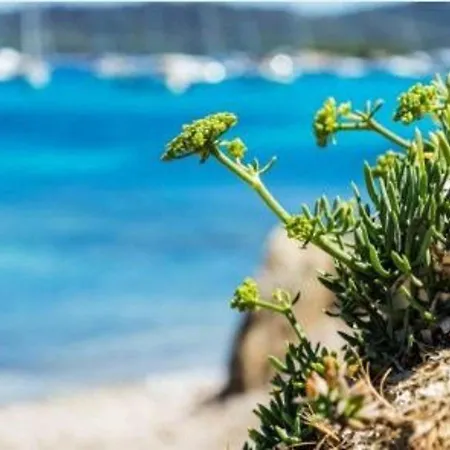 Pour 4 Personnes Avec Terrasse Et Directe Au Lavandou - Fr-1-251-251 * Le Lavandou